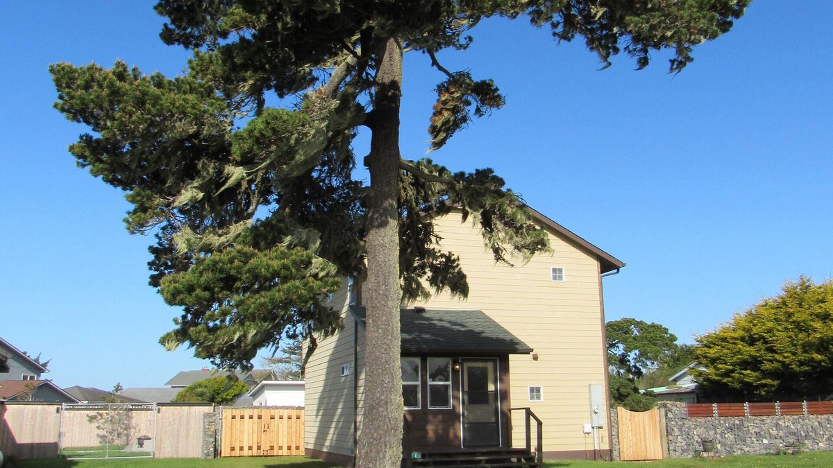 Crescent City North Cottage | Rock and Wave Cottage At The Beach