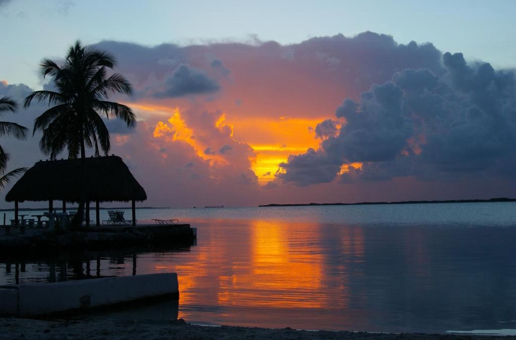 Rock Harbor Hotel | Rock Reef Resort