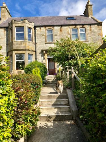 Lerwick Bed & Breakfast | Rockvilla Guest House
