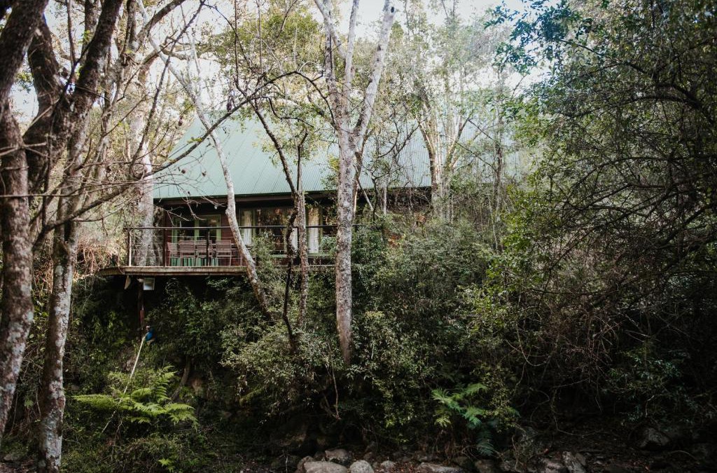 Karkloof Nature Reserve Cabin | Rockwood Karkloof Forest Lodge & Mountain Cabin