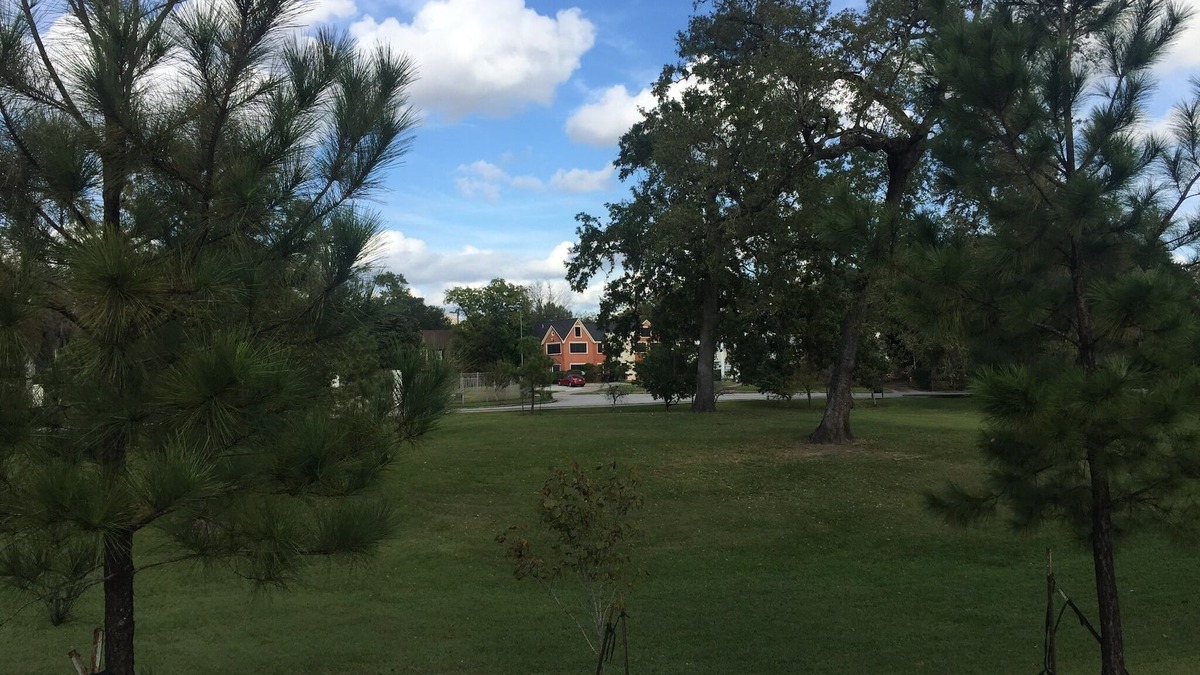 MacGregor Apartment | RODEO/MEDICAL CENTER/MUSEUM/THEATRE/CENTRAL