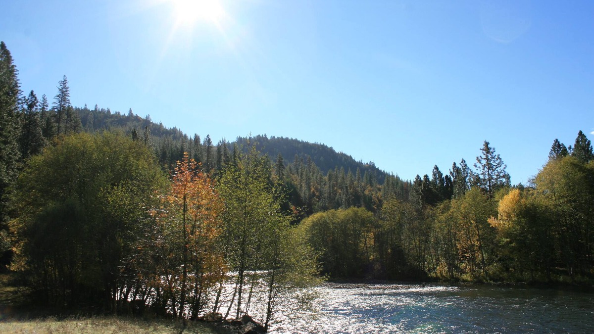 Shady Cove House | Rogue River Escape - 19 acres on the Rogue River
