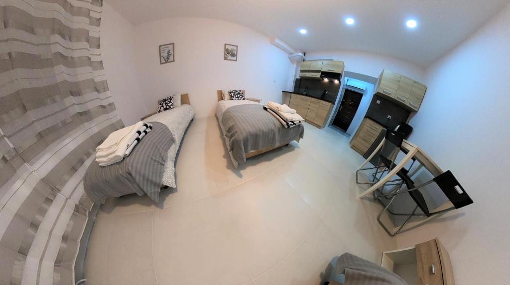 Lodz Apartment | Rokicinska54 com