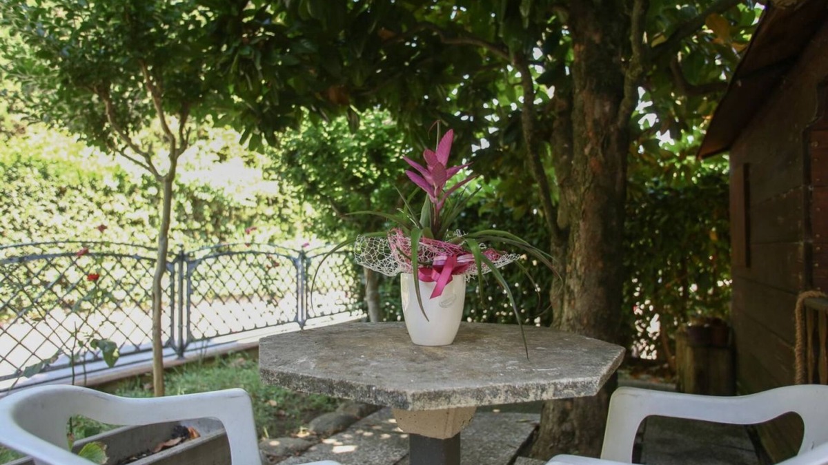 Quartiere Oltre Savio Apartment | RomagnaBNB Jiminy Cricket's Nest