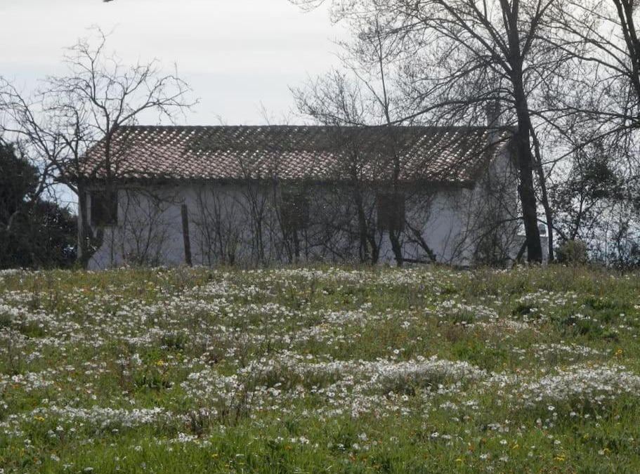 SantʼOreste House | Roman Countryside! House surrounded by nature
