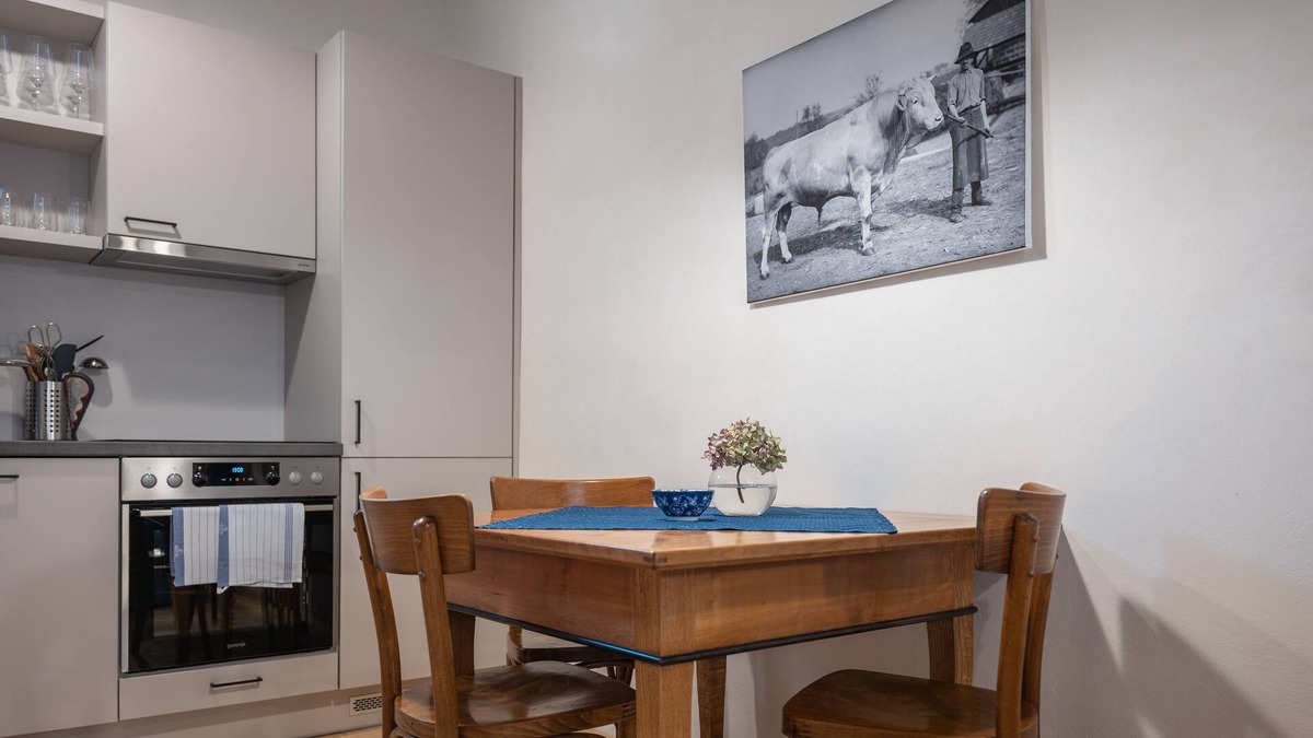 Lutzmannsburg Apartment | Romantic apartment in historic Streckhof, 1200sqm garden, wine-growing area