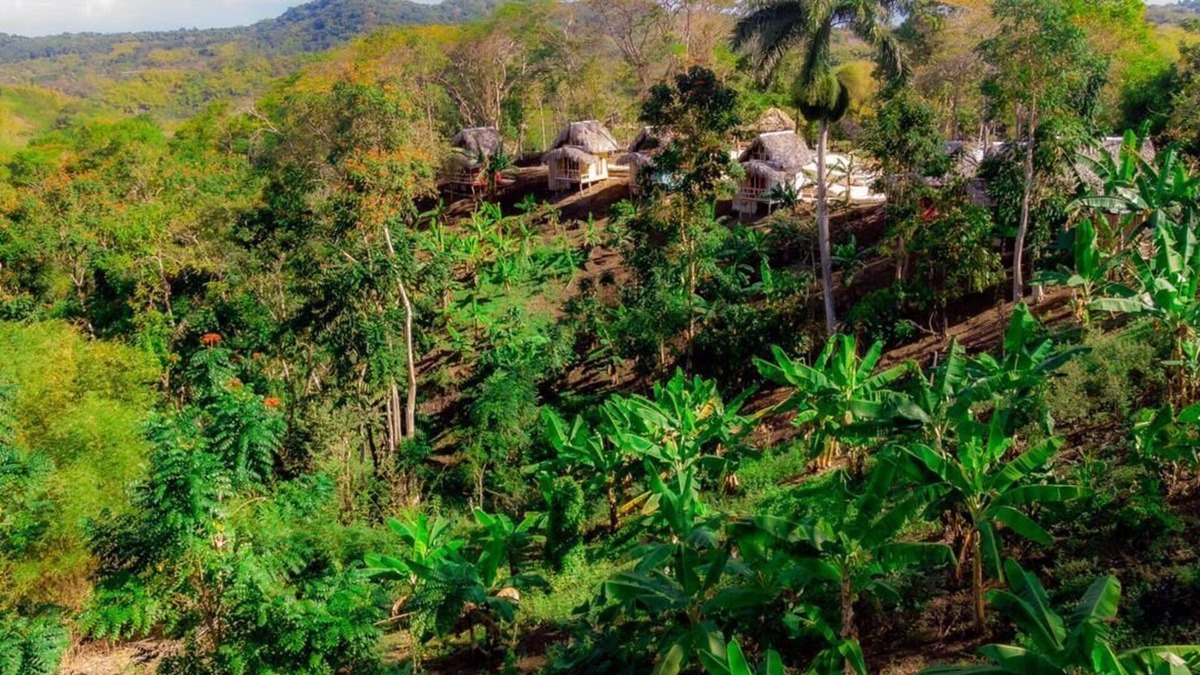 Orange Bay Cabin | Romantic Cottages in Jamaican Hills w/hiking trails and Fruit trees on property