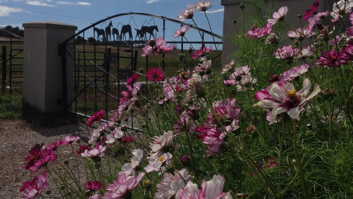 Ignacio Cottage | Romantic get away located on a working farm just 20 minutes from Durango.