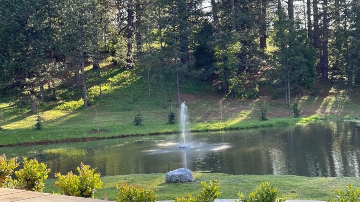 Apple Hill Cabin | Romantic Getaway, Cabin in Apple Hill on 10 Acres with Private Pond