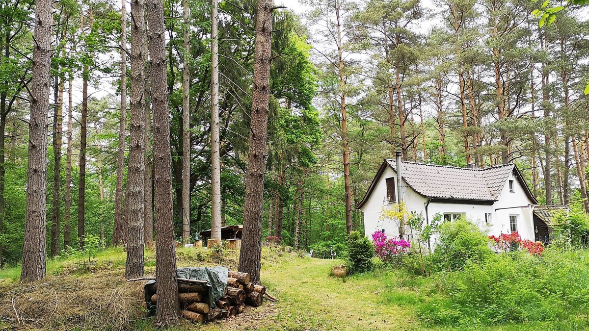 Hausbruch House | romantic little house in the magical forest