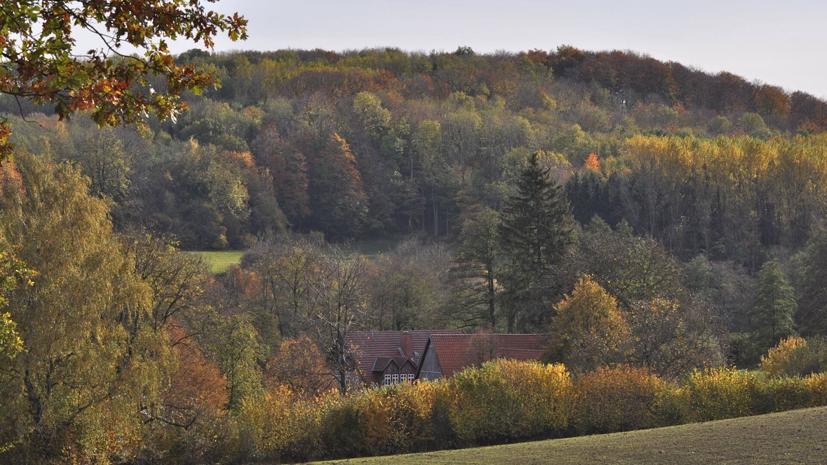 Horn-Bad Meinberg House | Romantic located, historic water mill in Silberbachtal