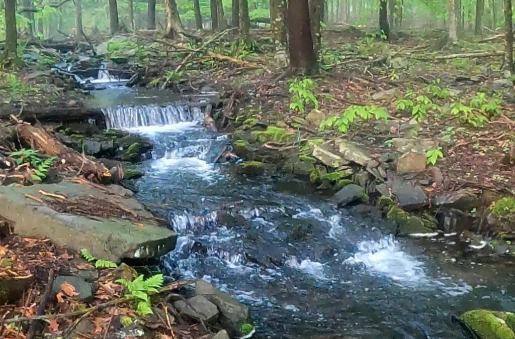 Pocono Lake House | Romantic Pocono house - stream, lake, beach, pool, firepit