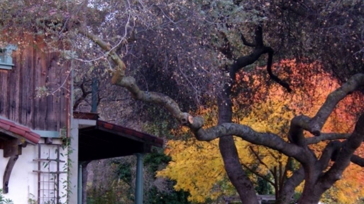 Three Rivers House | Romantic Three Rivers River Craftsman