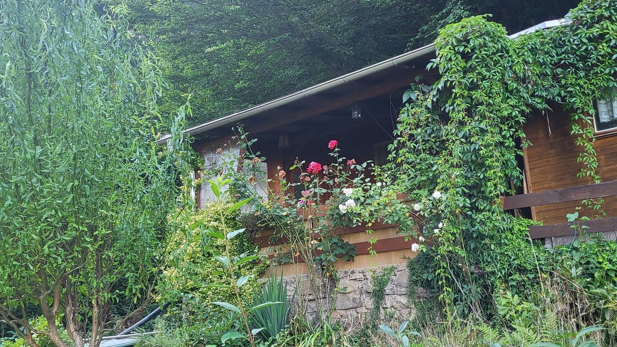 Konigstein an der Elbe Cabin | Romantische Gartenlaube mit Elbblick