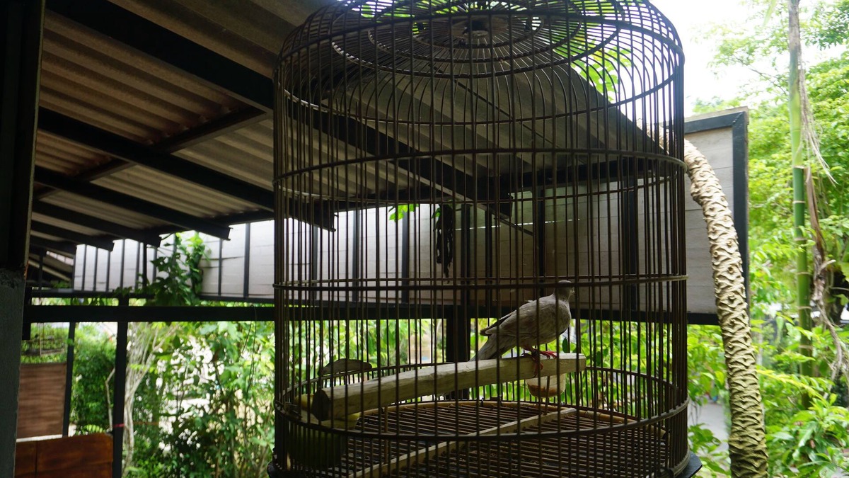 Trang Hotel | Rommai Plai Tawan Trang