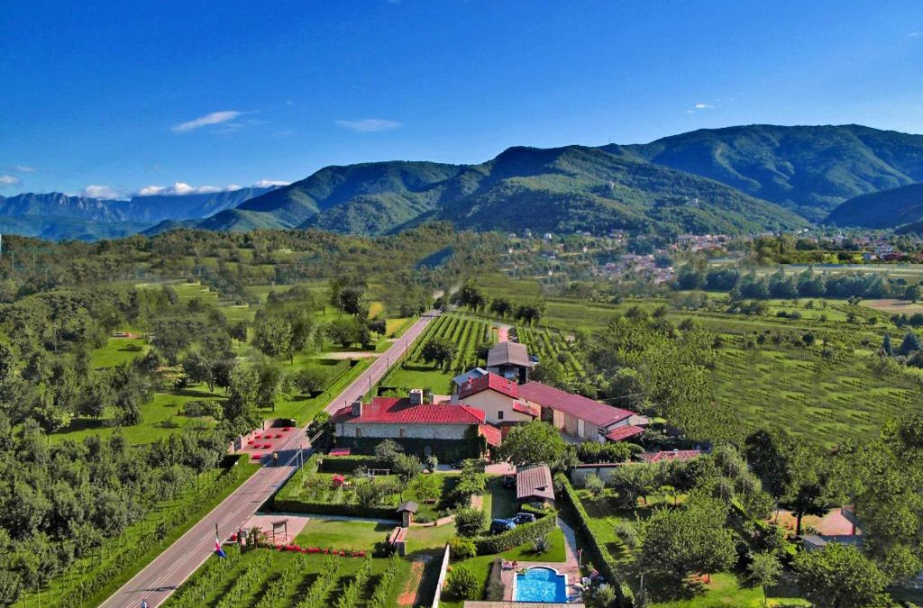 Faedis House | Ronc Dai Luchis
