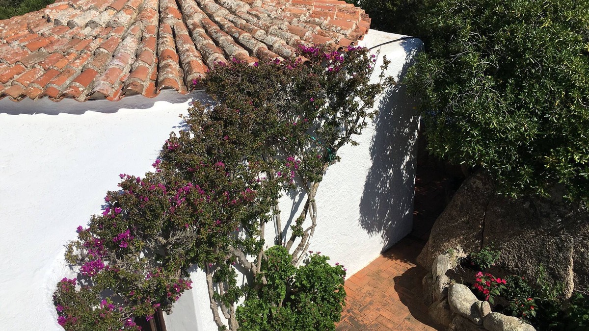 Porto Rafael Villa | ROOF OF STARS ⭐️🌙 Panoramic Villa in Porto Rafael, Surrounded by Nature