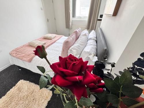 Liverpool House | Room 2 Shared House 10 min from Center