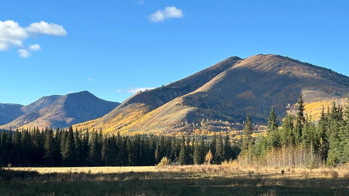 Buckinghorse River Cabin | Room 3 at the Main Lodge with a queen bed and single bed.
