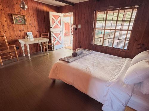 Joshua Tree Hotel | Room 3 - Downtown Joshua Tree Motel - Pet Friendly - Walk to Shops & Visitor Center, Minutes to Park Entrance