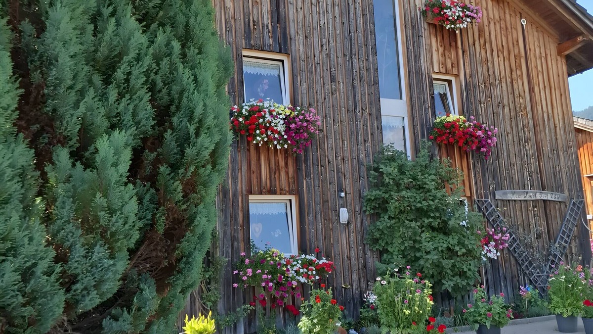 Sibratsgfaell Apartment | Room 'Bergblick' with Mountain View, Shared Garden and Wi-Fi
