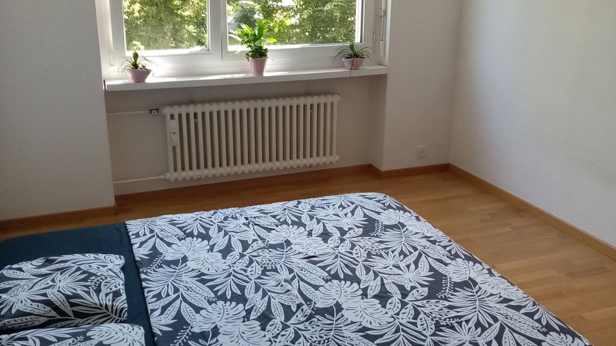 Meilen District House | Room close to the lake