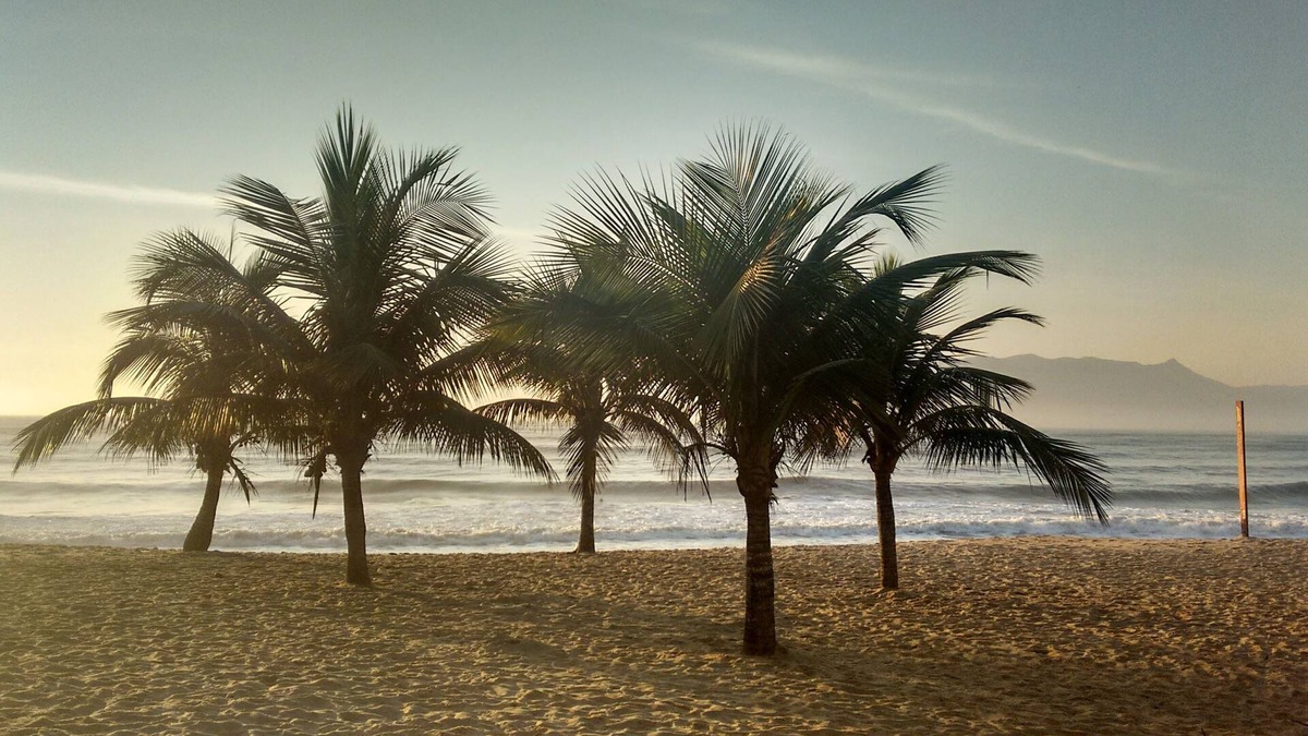 Jardim Capricornio House | Room in Cozy Beach House 4 minutes from the beach