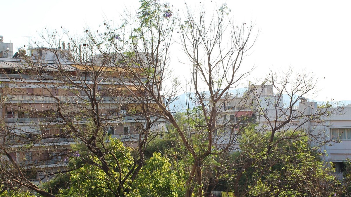 Nea Chalkidona Apartment | Room in the flat of an old Athenian painter