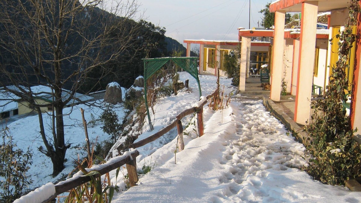 Pangot House | Room-janardan Resort Pangot, Nainital