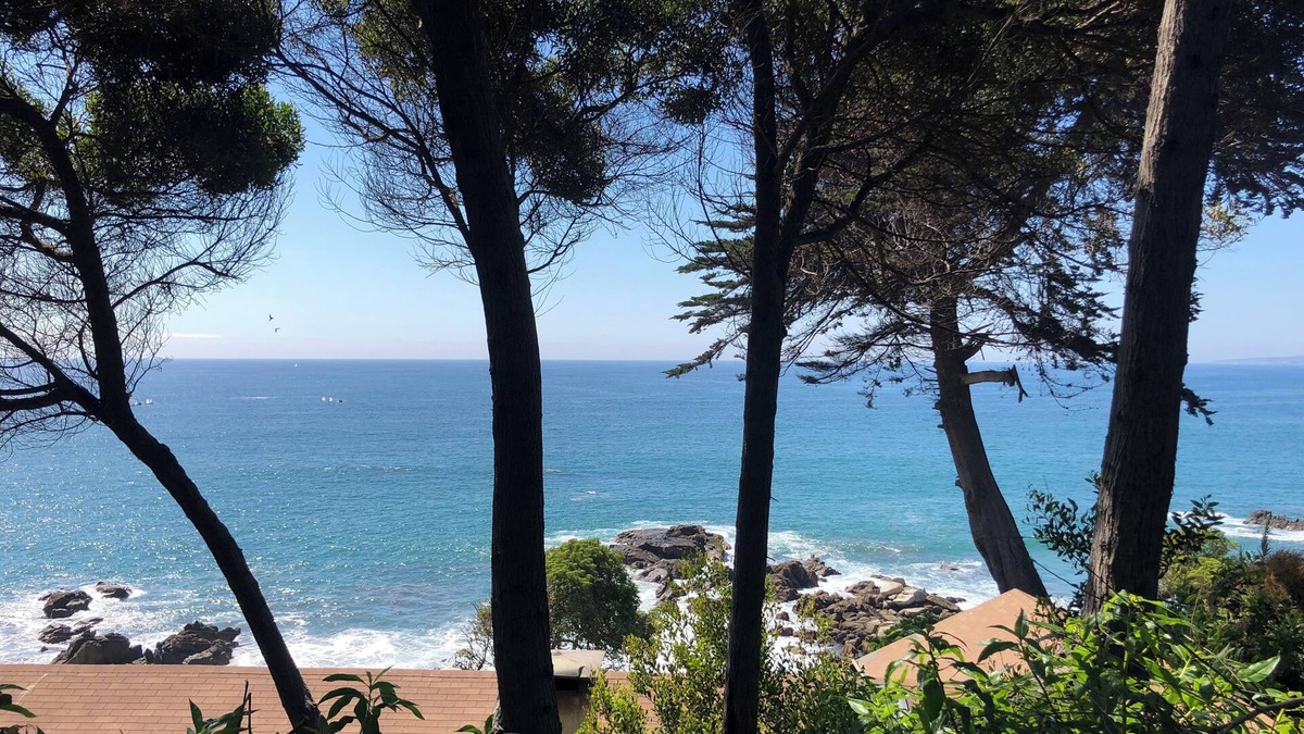 Concon Bed & Breakfast | Room with private bathroom in a house with excellent ocean view, steps from the beach.