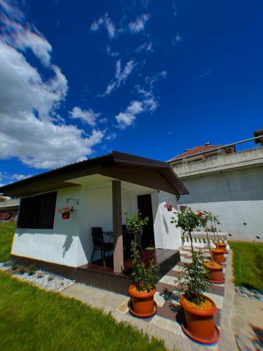 Plav House | Rooms P&L
