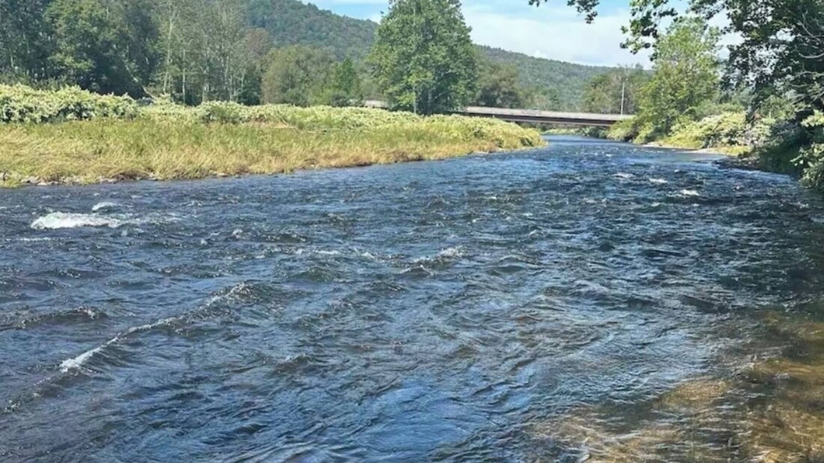 Roscoe House | Roscoe Christmas Cabin on the Beaverkill River with private river access !