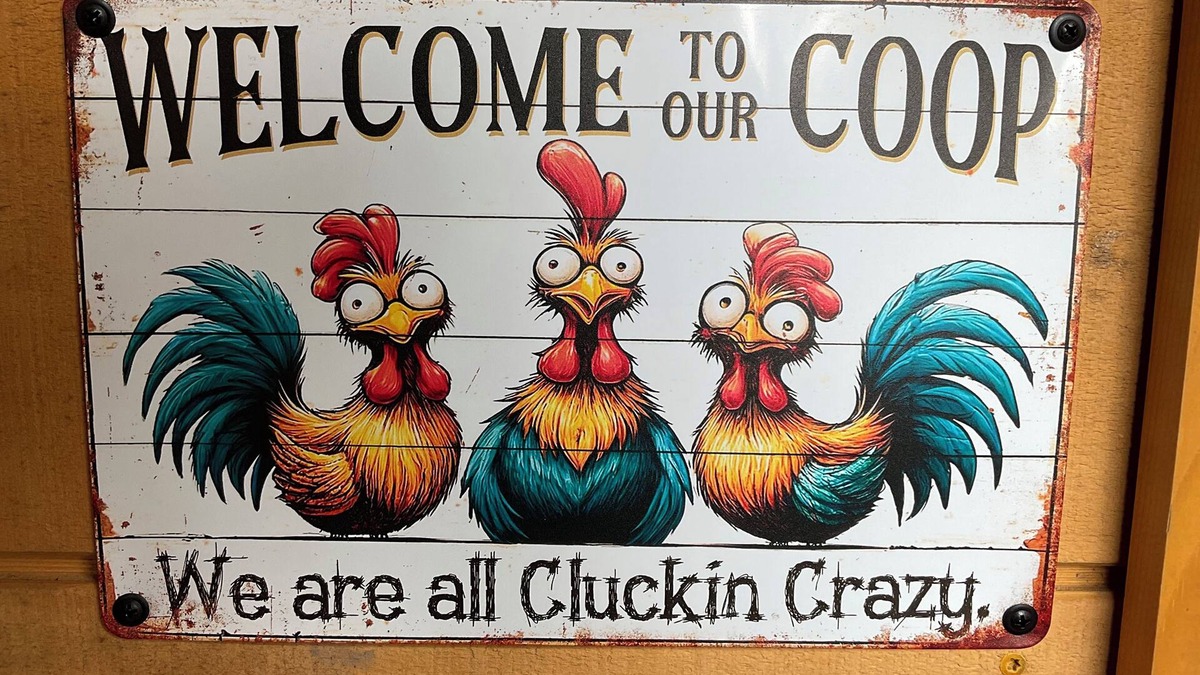 Roscoe Cabin | Roscoe Coop Clucking Crazy Hut