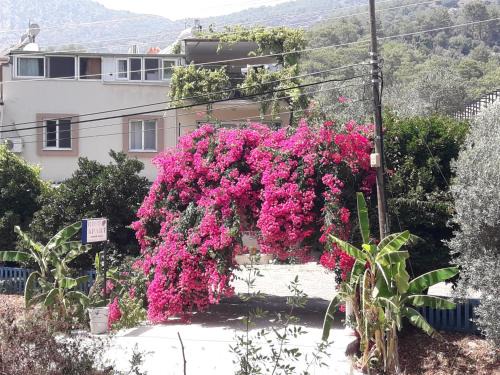 Sarigerme Apartment | Rose Apart
