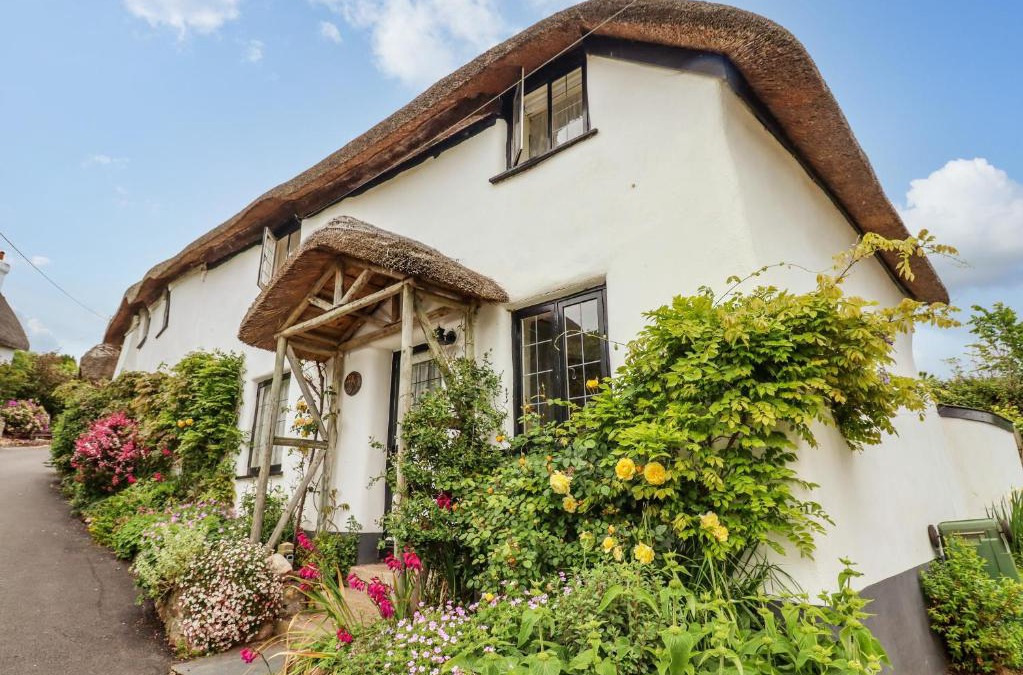 Dawlish House | Rose Cottage in Holcombe
