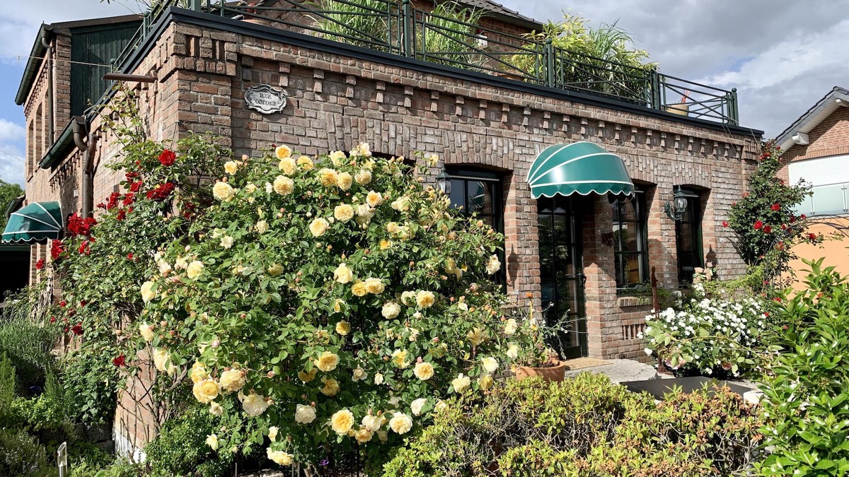 Rees Condo | Rose Cottage - relax and unwind.