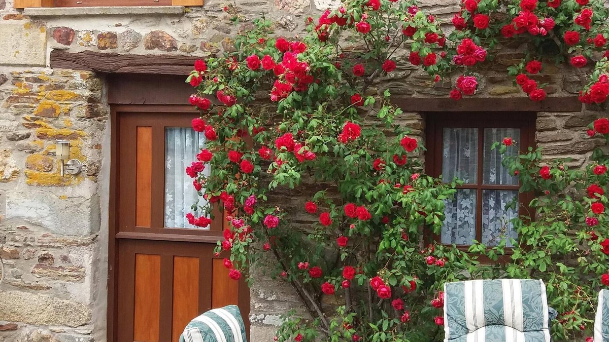 Saint-Connec Cottage | Rose gite Le Cosquer St Connec