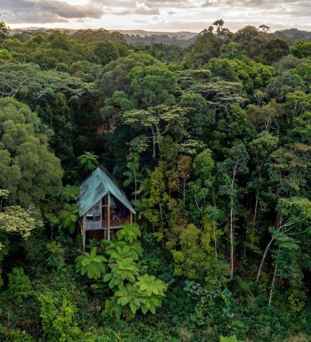 Lake Eacham Cabin | Rose Gums Wilderness Retreat