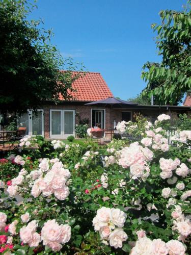 Riepsdorf Apartment | "Rosenkate 1"