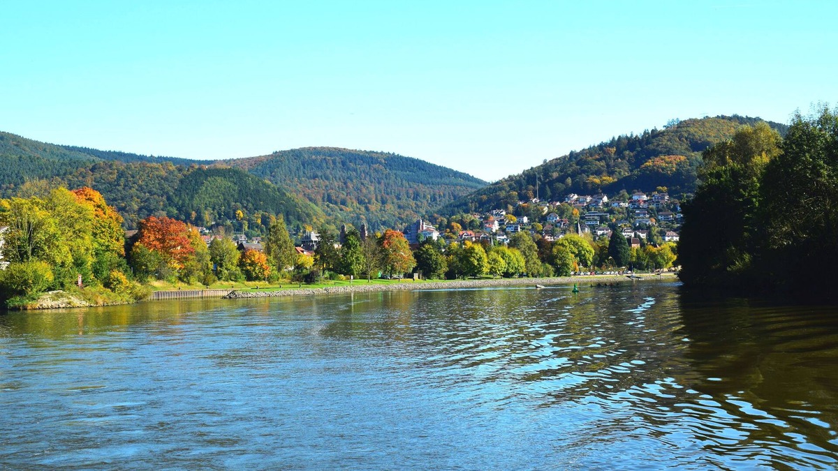 Eberbach Apartment | ROSENTURMBLICK - centrally located, furnished apartment for temporary rental