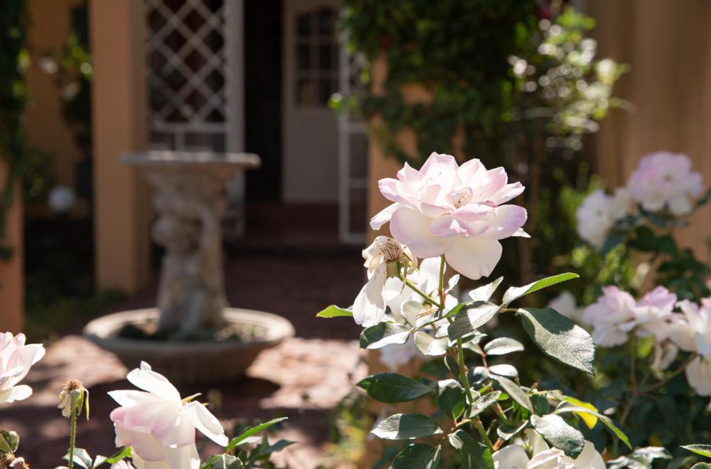 Klerksdorp Bed & Breakfast | Roses and Pebbles B & B Guest House