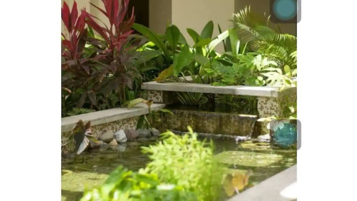 Portmore Apartment | Rosie's Beach View Apartment