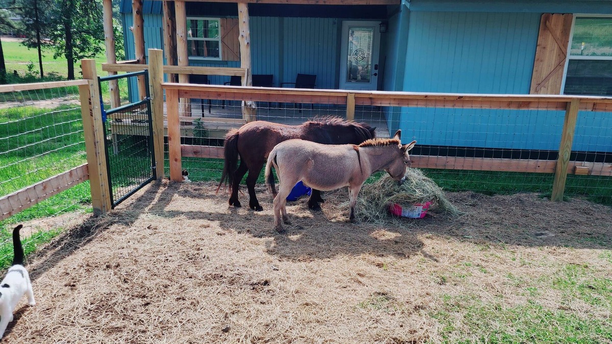 Edom Cottage | Rosie's Relaxing Ranch Retreat