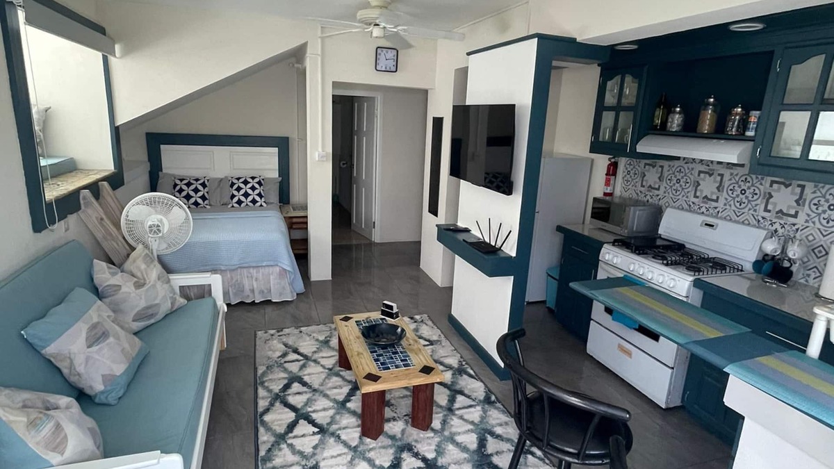 Haggatt Hall Apartment | Ross university US embassy 7 min drive available from 1st of October long term