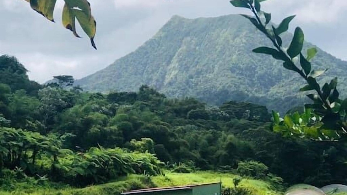 Le Morne-Rouge Apartment | Roucou room in the heart of nature, view of Mont Pelée