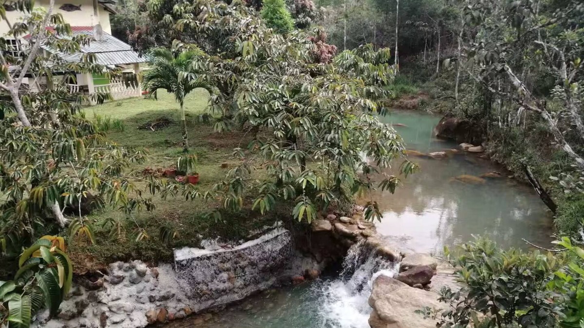 Cerro Azul House | Round House River Dreams Cerro Azul