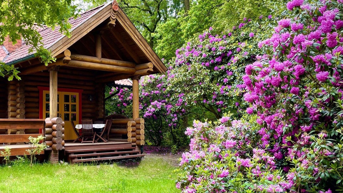 Mollberg House | Round log block Haus am Waldsee