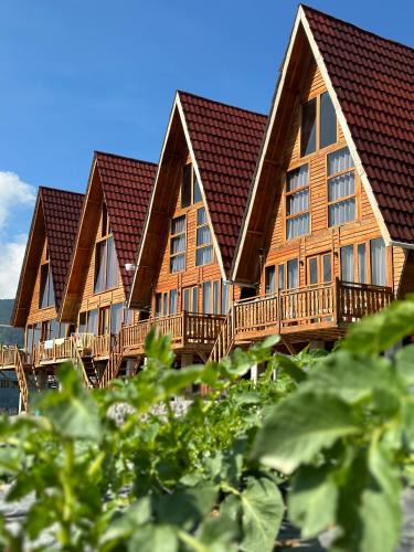 Dieng Villa | Royal Cabin Dieng