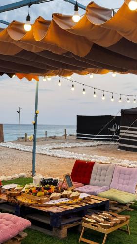 Ash Sharqiyah North Governorate Other | ROYAl FINS CAMP