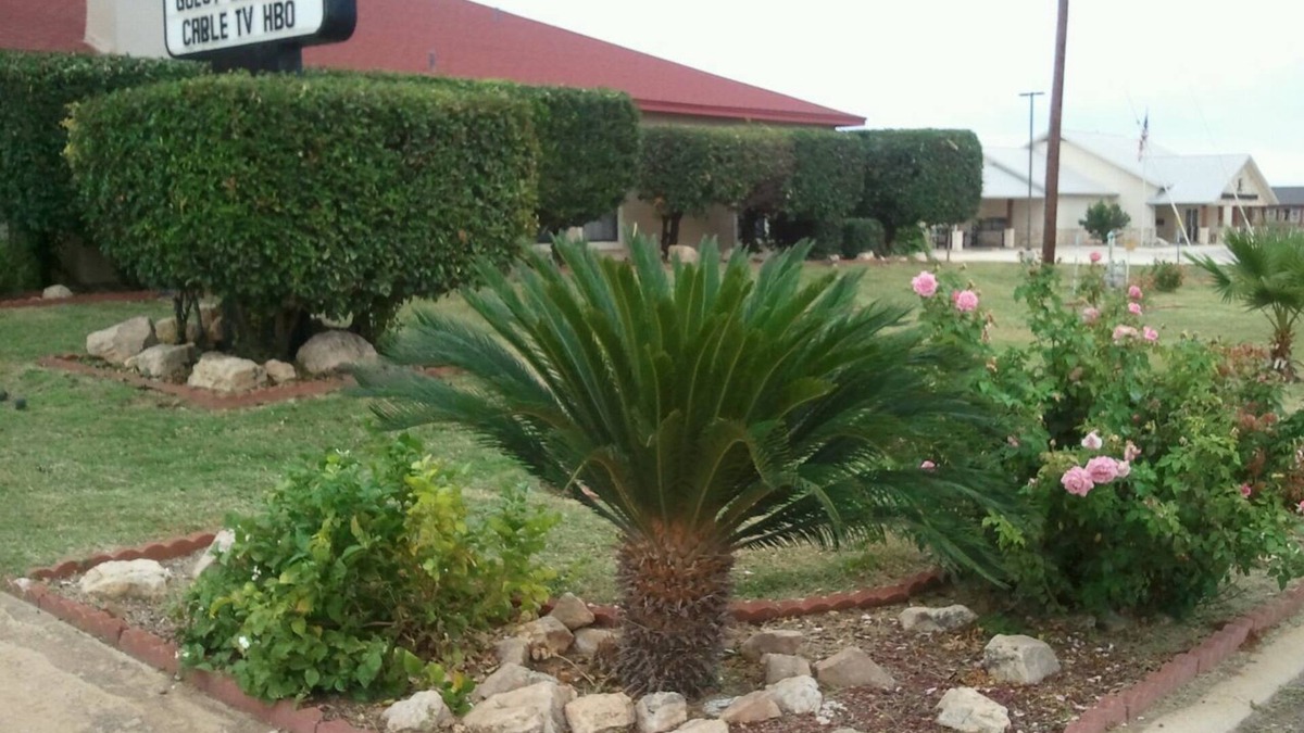 Pearsall Hotel | Royal Inn Pearsall